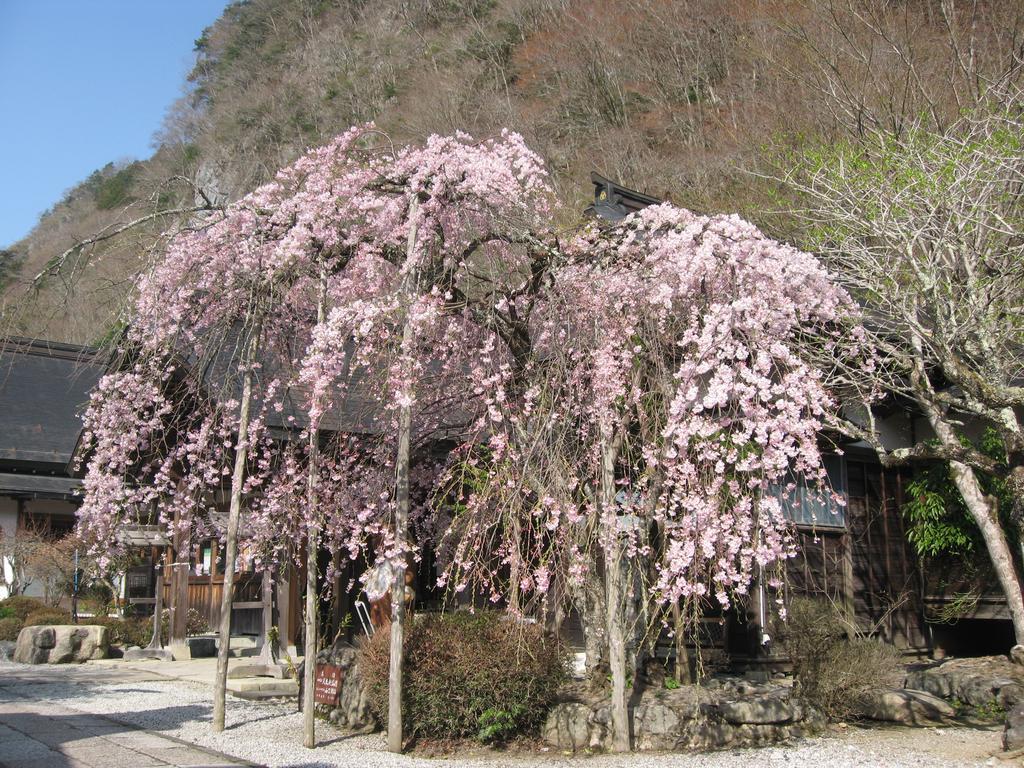 Masugen Ryokan Tenkawa Exteriör bild